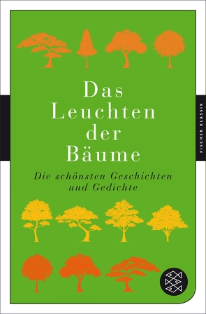 Das Leuchten der Bäume von Walter,  Lucas