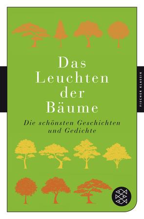 Das Leuchten der Bäume von Walter,  Lucas