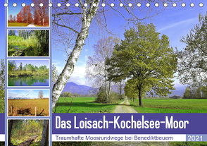 Das Loisach-Kochelsee-Moor Traumhafte Moosrundwege bei Benediktbeuern (Tischkalender 2021 DIN A5 quer) von Schimmack,  Michaela