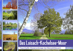 Das Loisach-Kochelsee-Moor Traumhafte Moosrundwege bei Benediktbeuern (Wandkalender 2021 DIN A3 quer) von Schimmack,  Michaela