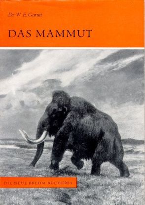 Das Mammut von Garutt,  W E