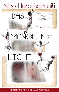 Das mangelnde Licht von Haratischwili,  Nino