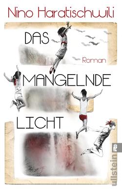 Das mangelnde Licht von Haratischwili,  Nino