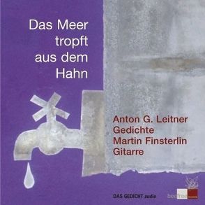 Das Meer tropft aus dem Hahn von Finsterlin,  Martin, Leitner,  Anton G.