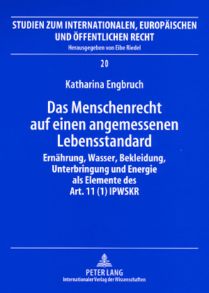 Das Menschenrecht auf einen angemessenen Lebensstandard von Engbruch,  Katharina