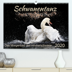 Das Morgenbad des Höckerschwans (Premium, hochwertiger DIN A2 Wandkalender 2020, Kunstdruck in Hochglanz) von Banker,  Sylvio