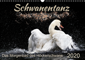 Das Morgenbad des Höckerschwans (Wandkalender 2020 DIN A3 quer) von Banker,  Sylvio