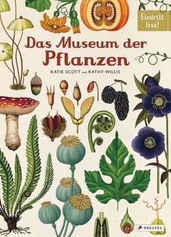 Das Museum der Pflanzen von Scott,  Katie, Willis,  Kathy