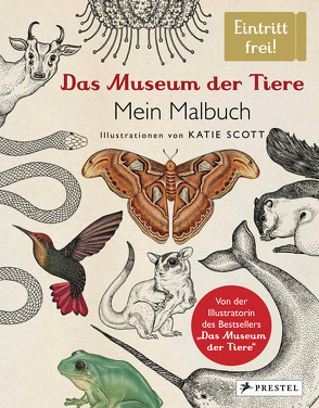 Das Museum der Tiere. Mein Malbuch von Knüppel,  Katharina, Scott,  Katie