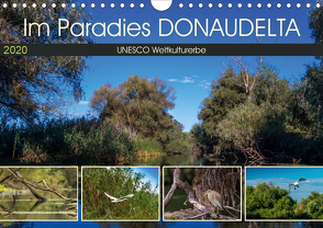 Das Paradies Donaudelta (Wandkalender 2020 DIN A4 quer) von Photo4emotion.com