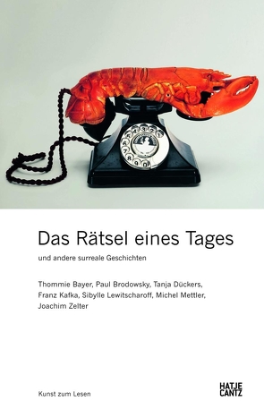 Das Rätsel eines Tages und andere surreale Geschichten von Bayer,  Thommie, Brodowsky,  Paul, Dückers,  Tanja, Kafka,  Franz, Lewitscharoff,  Sibylle, Mettler,  Michel, Zelter,  Joachim