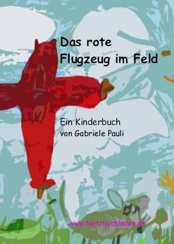 Das rote Flugzeug im Feld von Pauli,  Gabriele