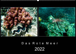 Das Rote Meer – 2022 (Wandkalender 2022 DIN A2 quer) von Hamburg, Mirko Weigt,  ©