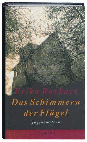 Das Schimmern der Flügel von Burkart,  Erika