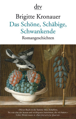 Das Schöne, Schäbige, Schwankende von Kronauer,  Brigitte