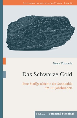 Das Schwarze Gold von Gestwa,  Klaus, Gugerli,  David, Hessler,  Martina, Heymann,  Matthias, Höhler,  Sabine, Kohlrausch,  Martin, Oldenziel,  Ruth, Rieger,  Bernhard, Thorade,  Nora, Trischler,  Helmuth, van Laak,  Dirk, Weber,  Heike, Zeller,  Thomas