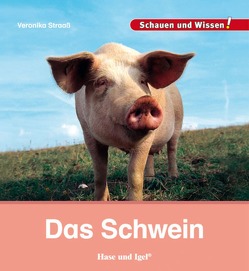 Das Schwein von Straaß,  Veronika