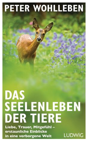 Das Seelenleben der Tiere von Wohlleben,  Peter