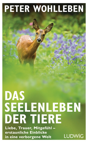 Das Seelenleben der Tiere von Wohlleben,  Peter