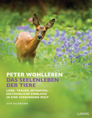 Das Seelenleben der Tiere von Wohlleben,  Peter