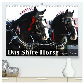 Das Shire Horse. Impressionen (hochwertiger Premium Wandkalender 2024 DIN A2 quer), Kunstdruck in Hochglanz von Stanzer,  Elisabeth