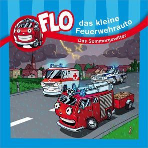 Das Sommergewitter – Flo-Minibuch (10) von Baumann,  Nils, Janßen,  Lisa, Mörken,  Christian