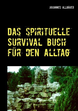 Das spirituelle Survival Buch für den Alltag von Allgäuer,  Johannes