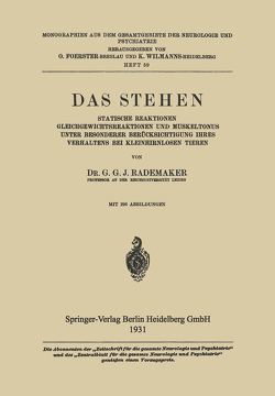 Das Stehen von Rademaker,  Gysbertus Godefriedus Johannes