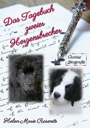 Das Tagebuch zweier Herzensbrecher von Rosenits,  Helen Marie