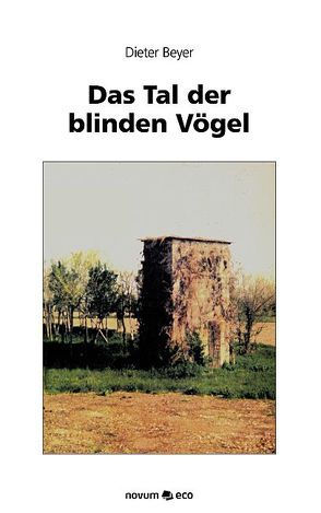 Das Tal der blinden Vögel von Beyer,  Dieter