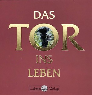 Das Tor ins Leben von Scholz,  Grit