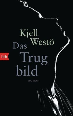 Das Trugbild von Berf,  Paul, Westö,  Kjell