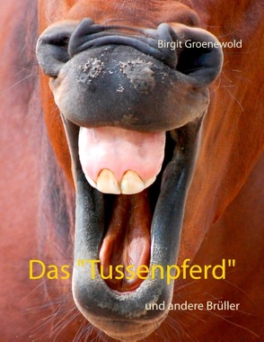 Das „Tussenpferd“ von Groenewold,  Birgit