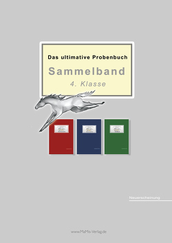 Das ultimative Probenbuch Sammelband 4. Klasse von Mandl,  Mandana, Reichel,  Miriam