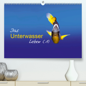 Das Unterwasser Leben (1) (Premium, hochwertiger DIN A2 Wandkalender 2020, Kunstdruck in Hochglanz) von Mende,  Marcel