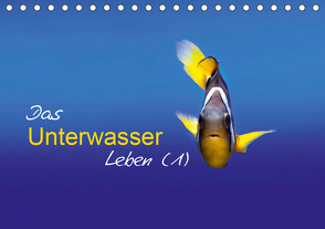 Das Unterwasser Leben (1) (Tischkalender 2021 DIN A5 quer) von Mende,  Marcel