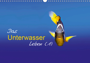Das Unterwasser Leben (1) (Wandkalender 2021 DIN A3 quer) von Mende,  Marcel