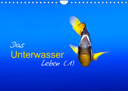 Das Unterwasser Leben (1) (Wandkalender 2022 DIN A4 quer) von Mende,  Marcel