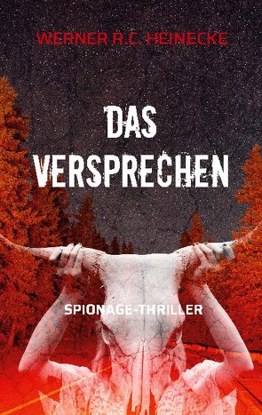 Das Versprechen von Heinecke,  Werner R. C.