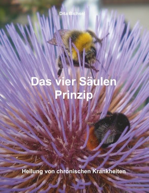 Das vier Säulen Prinzip von Bichsel,  Dita