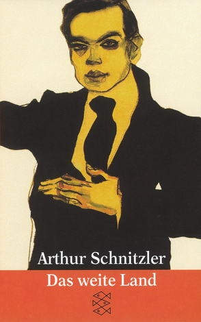 Das weite Land von Schnitzler,  Arthur