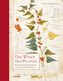 Das Wesen der Pflanze von Bynum,  Helen, Bynum,  William, Krabbe,  Wiebke