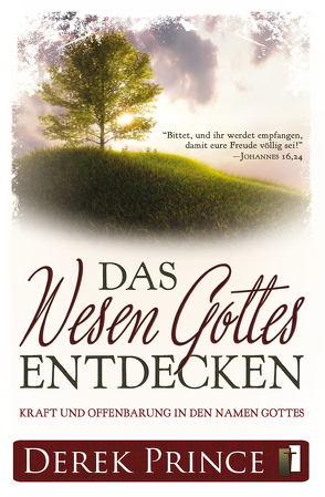 Das Wesen Gottes entdecken von Prince,  Derek