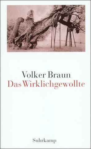 Das Wirklichgewollte von Braun,  Volker