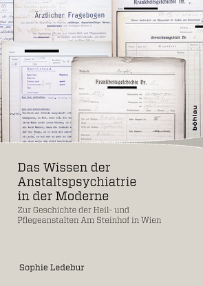 Das Wissen der Anstaltspsychiatrie in der Moderne