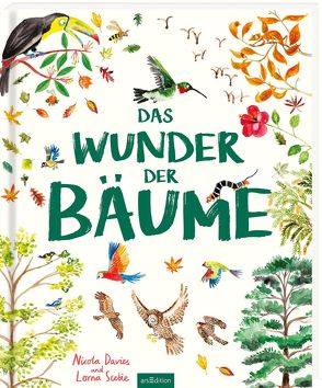 Das Wunder der Bäume von Davies,  Nicola, Jaeger,  Andreas, Scobie,  Lorna