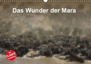 Das Wunder der Mara (Wandkalender 2019 DIN A3 quer) von Michel,  Susan