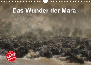 Das Wunder der Mara (Wandkalender 2019 DIN A4 quer) von Michel,  Susan