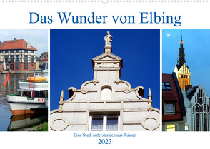 Das Wunder von Elbing – Eine Stadt auferstanden aus Ruinen (Wandkalender 2023 DIN A2 quer) von von Loewis of Menar,  Henning