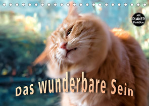 Das wunderbare Sein (Tischkalender 2023 DIN A5 quer) von Gross,  Viktor